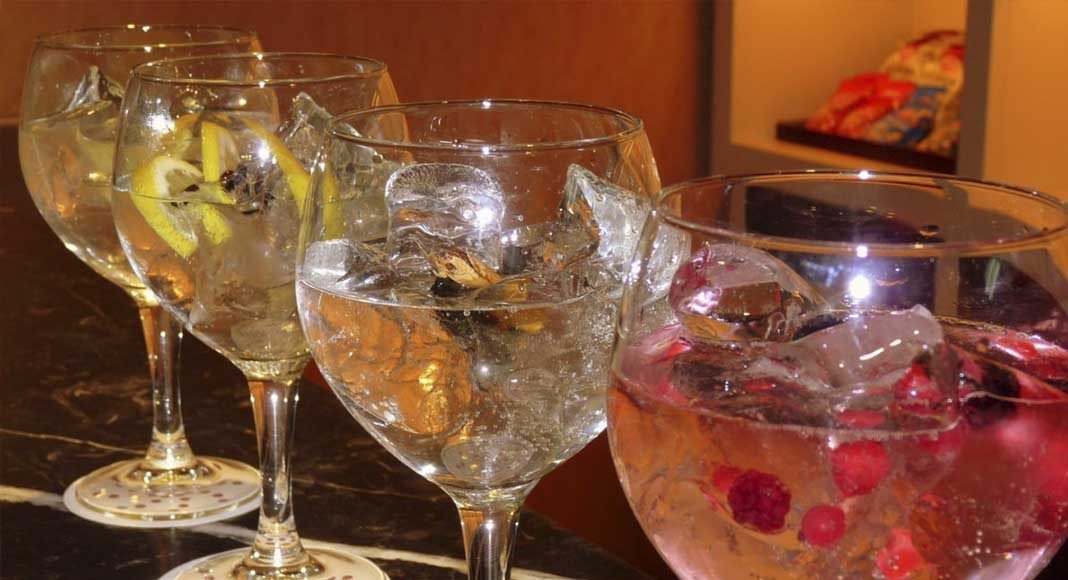 Despedidas Salou cata gintonics